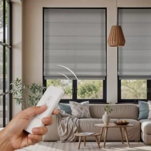 Motorized Blinds